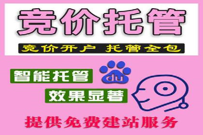 某知名品牌sem账户托管的成功秘诀